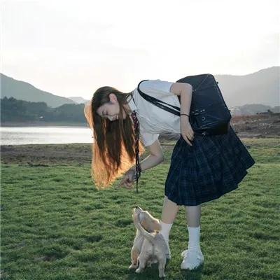 粪作